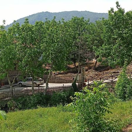 Sintrivanis Mountain Ano Skotina エクステリア 写真
