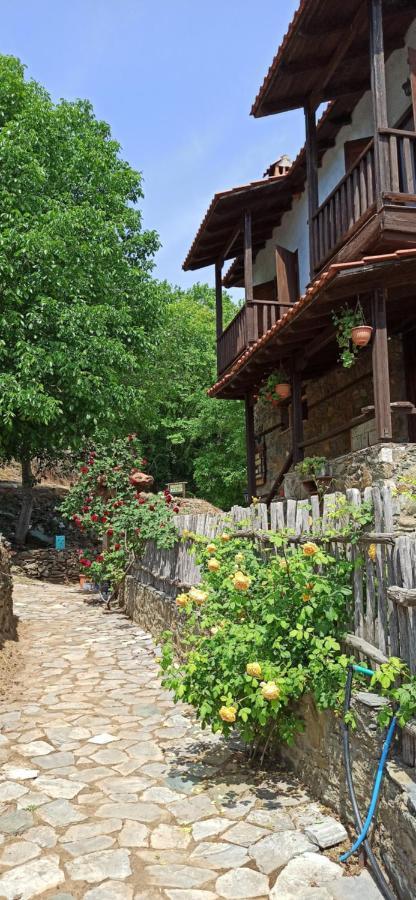 Sintrivanis Mountain Ano Skotina エクステリア 写真