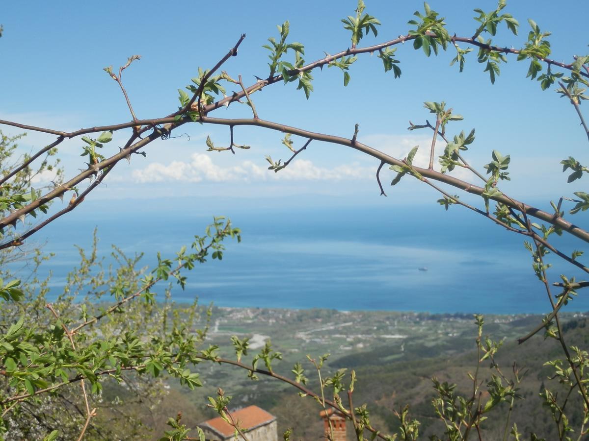 Sintrivanis Mountain Ano Skotina エクステリア 写真