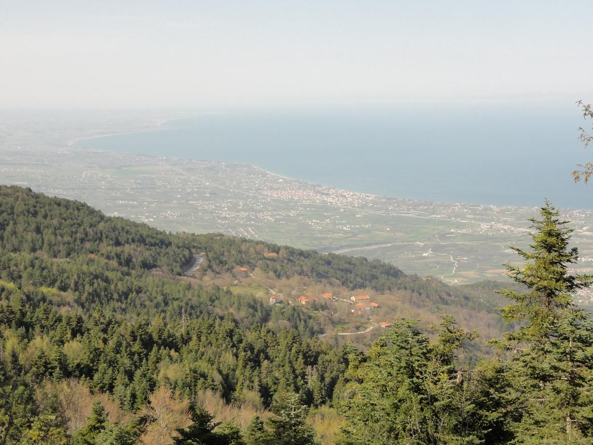 Sintrivanis Mountain Ano Skotina エクステリア 写真