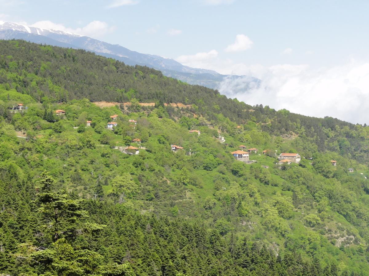 Sintrivanis Mountain Ano Skotina エクステリア 写真